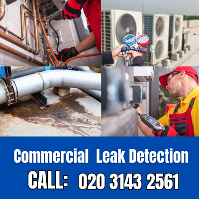 Commercial Leak Detection Services in Pratt's Bottom | Pratt's Bottom Leak Detection